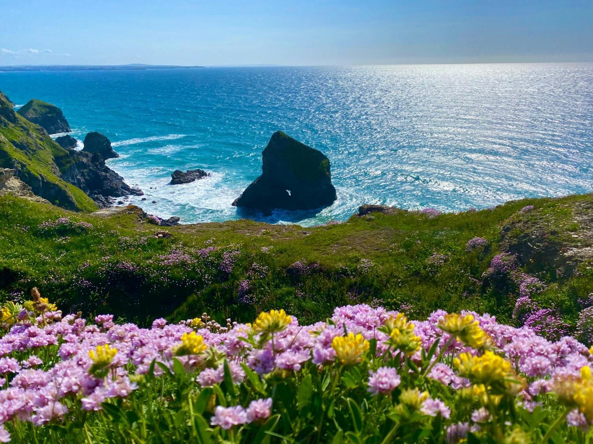 Polrunny Farm Sloe Cottage With A Sea View Боскасл Екстер'єр фото